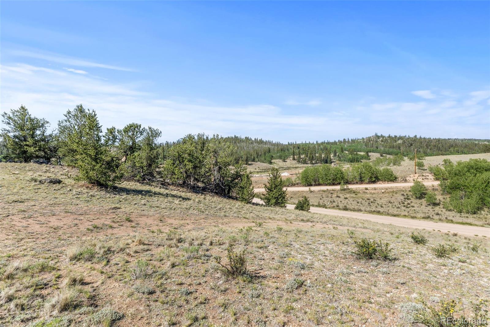 MLS Image #20 for 64  carbine road,jefferson, Colorado