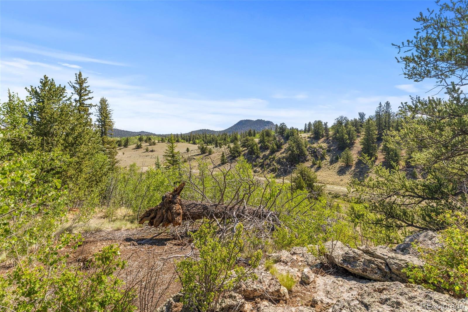 MLS Image #22 for 64  carbine road,jefferson, Colorado