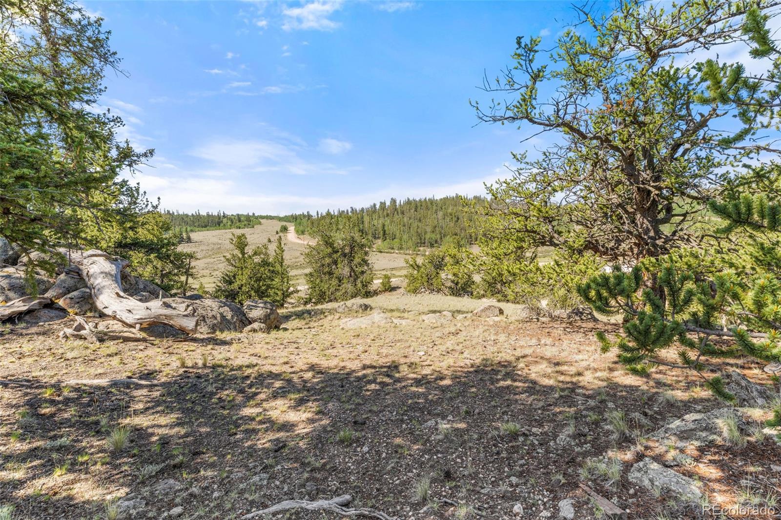 MLS Image #23 for 64  carbine road,jefferson, Colorado
