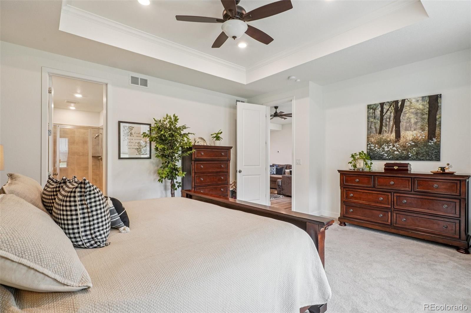 MLS Image #21 for 12841  lake port street,longmont, Colorado