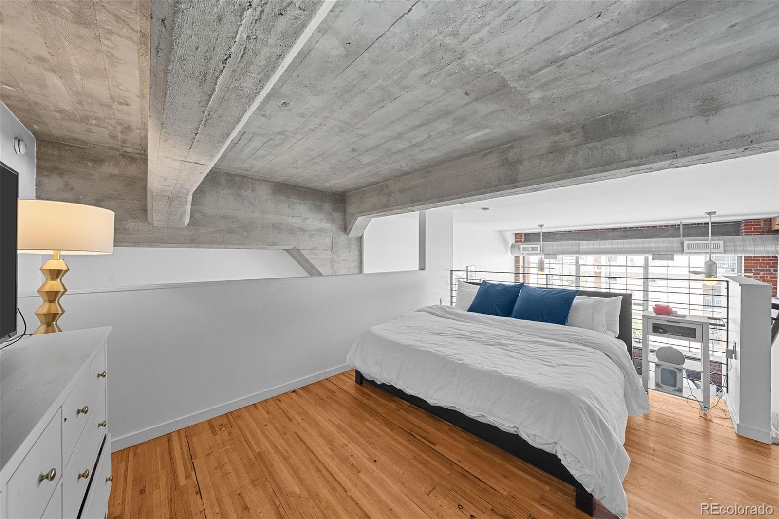 MLS Image #15 for 1090  cherokee street,denver, Colorado