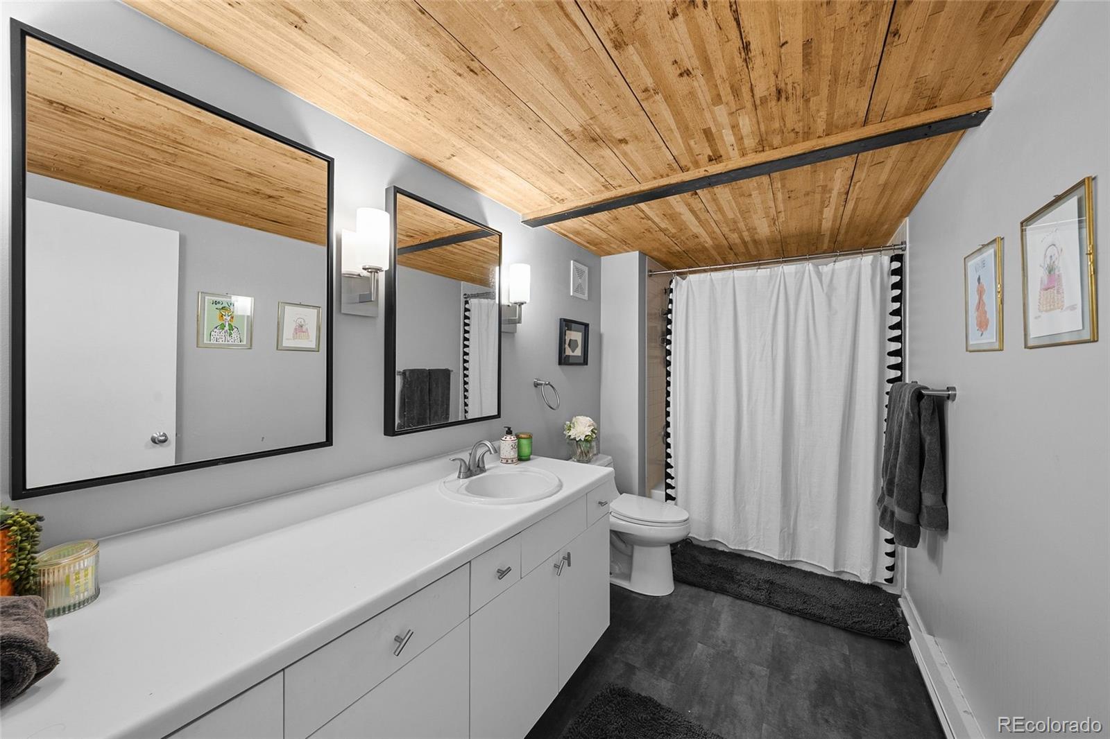 MLS Image #8 for 1090  cherokee street,denver, Colorado