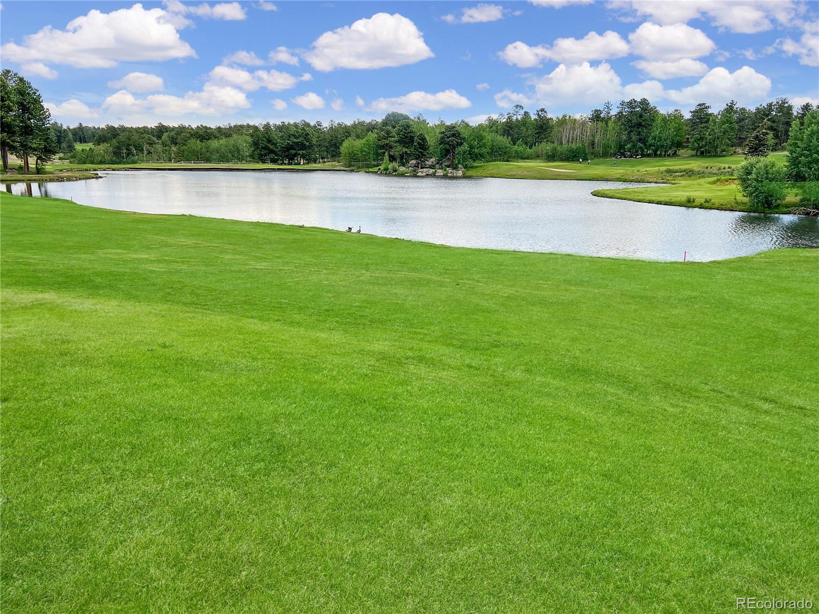 MLS Image #20 for 232  fox acres drive,red feather lakes, Colorado