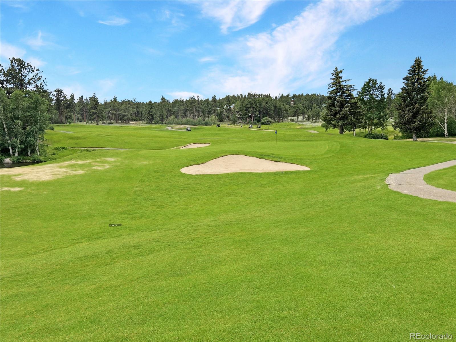 MLS Image #22 for 232  fox acres drive,red feather lakes, Colorado