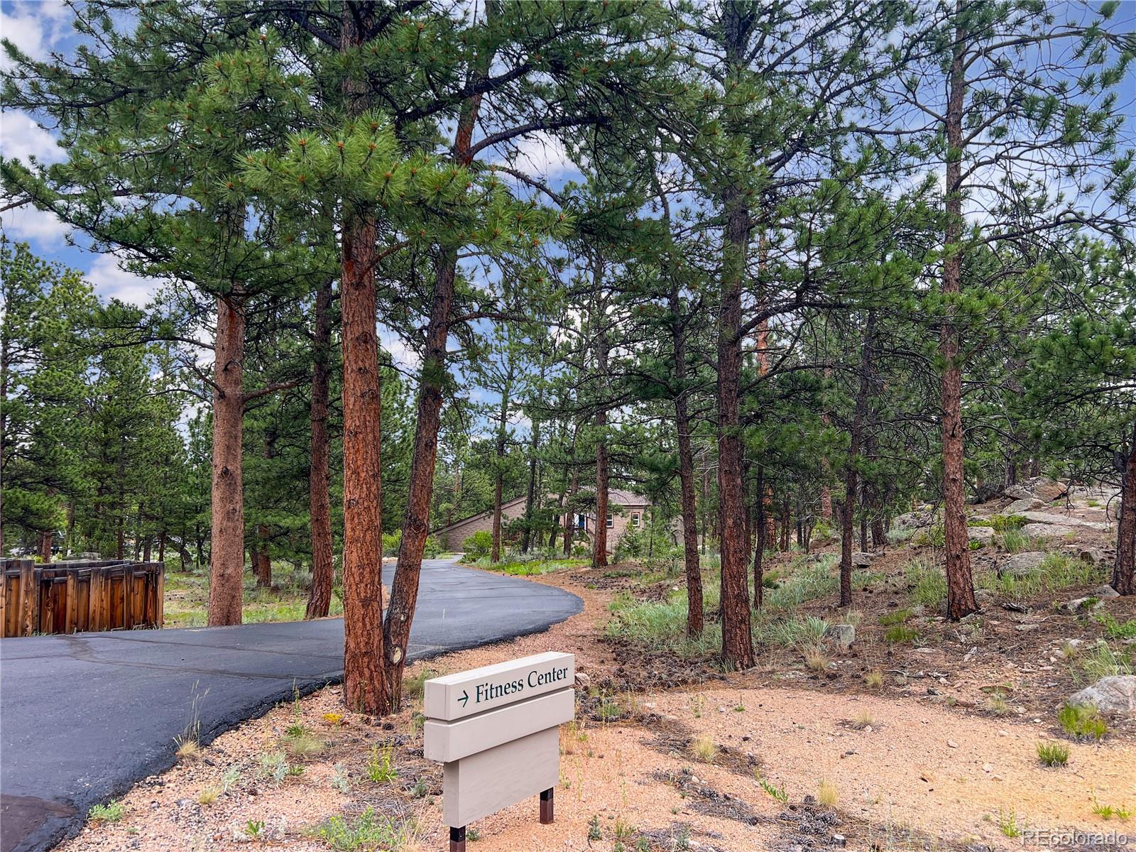 MLS Image #24 for 232  fox acres drive,red feather lakes, Colorado