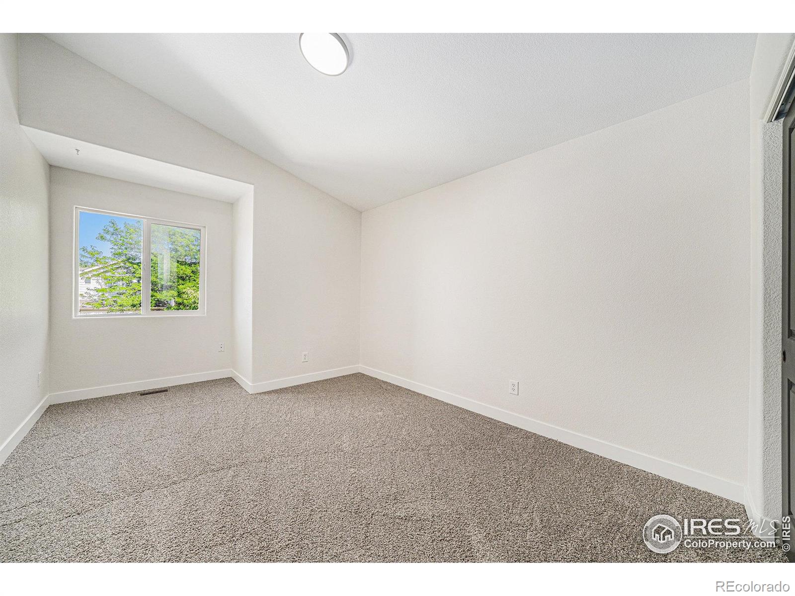 MLS Image #12 for 11365  daisy court,firestone, Colorado