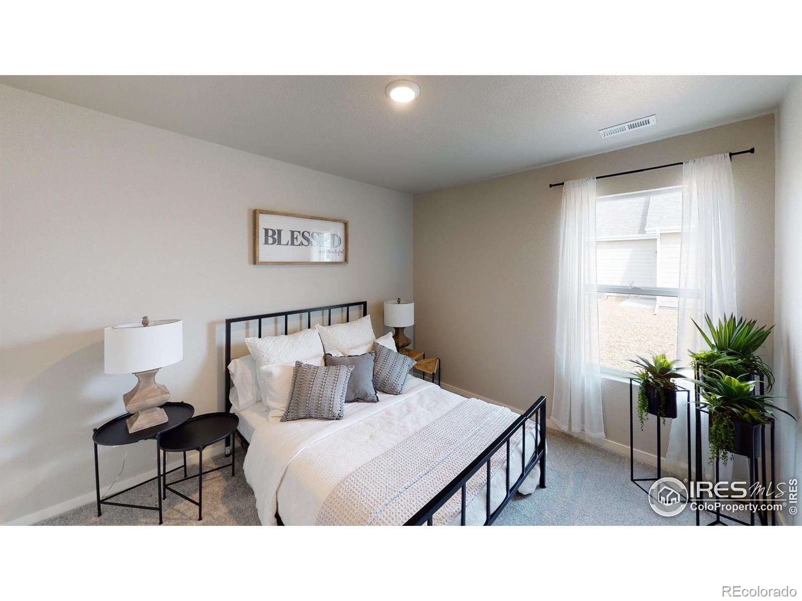MLS Image #10 for 450  lexi lane,hudson, Colorado