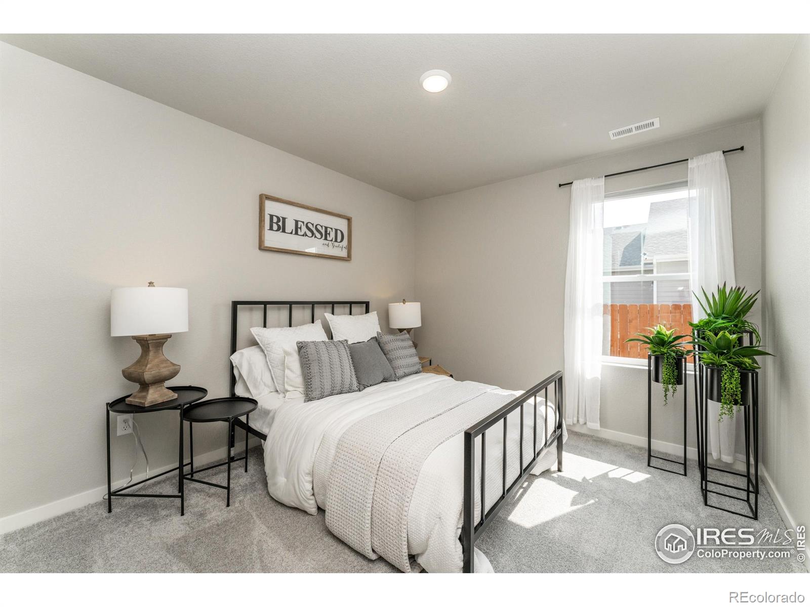 MLS Image #11 for 450  lexi lane,hudson, Colorado