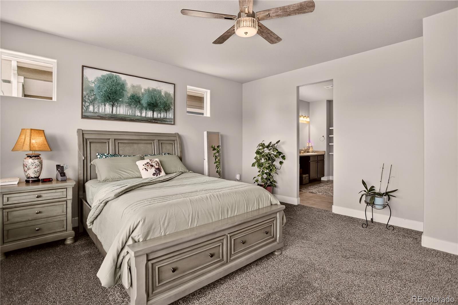 MLS Image #10 for 6687  rolling creek drive,colorado springs, Colorado