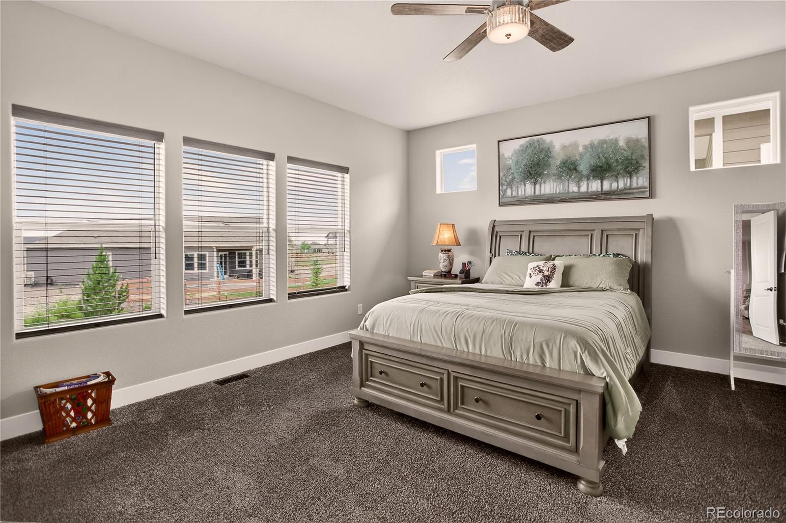MLS Image #9 for 6687  rolling creek drive,colorado springs, Colorado