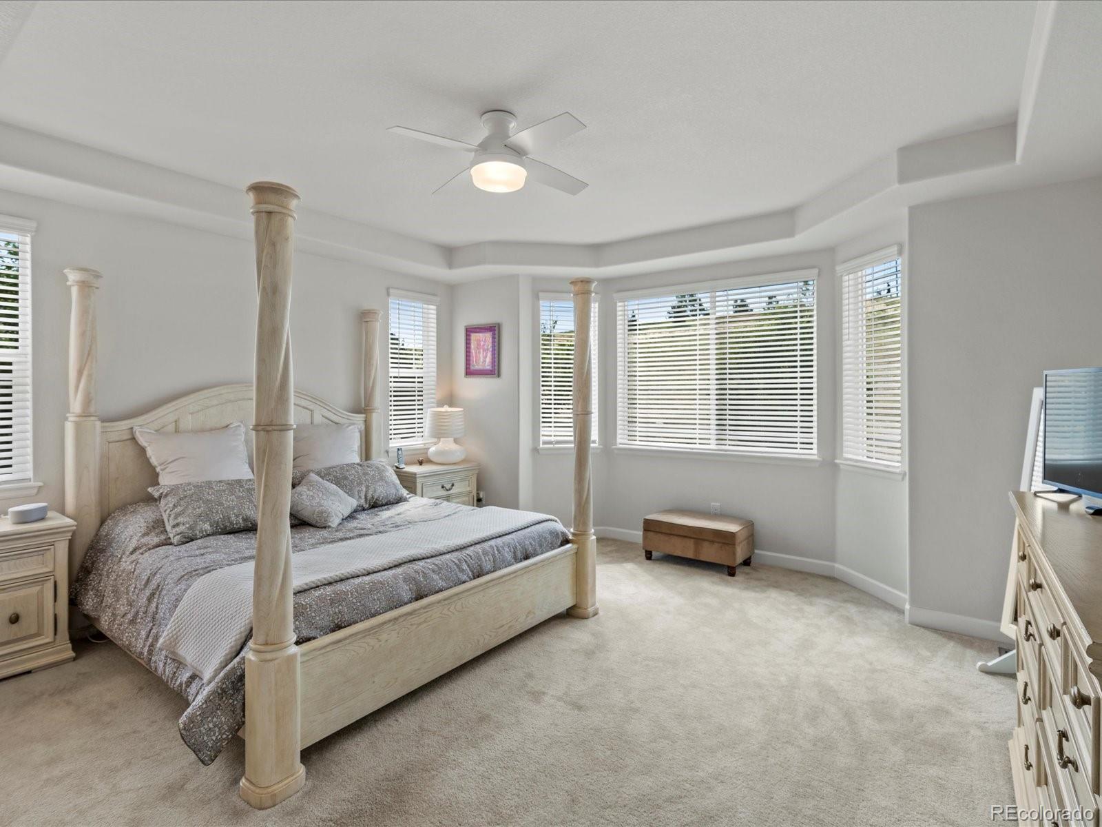 MLS Image #31 for 5158  silver hare lane,castle rock, Colorado