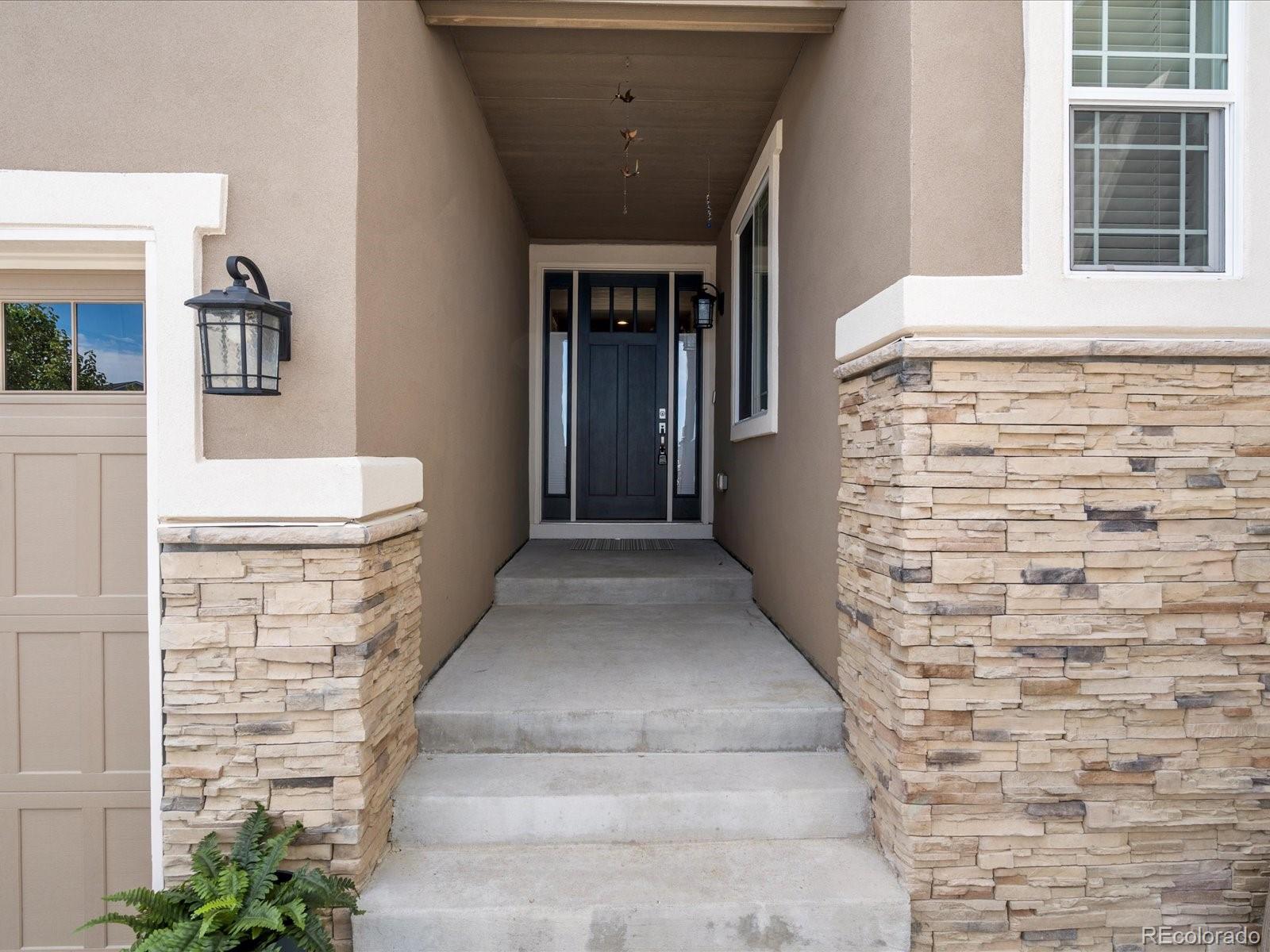 MLS Image #5 for 5158  silver hare lane,castle rock, Colorado