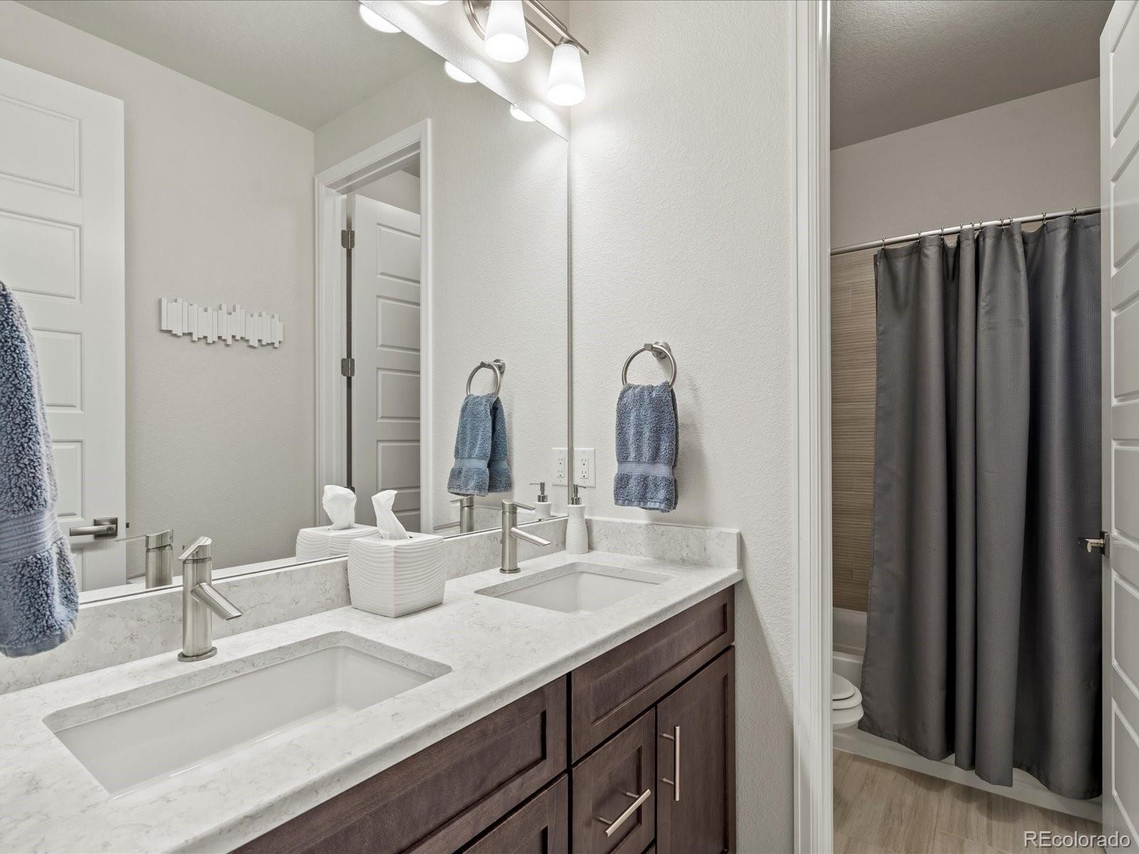 MLS Image #9 for 5158  silver hare lane,castle rock, Colorado
