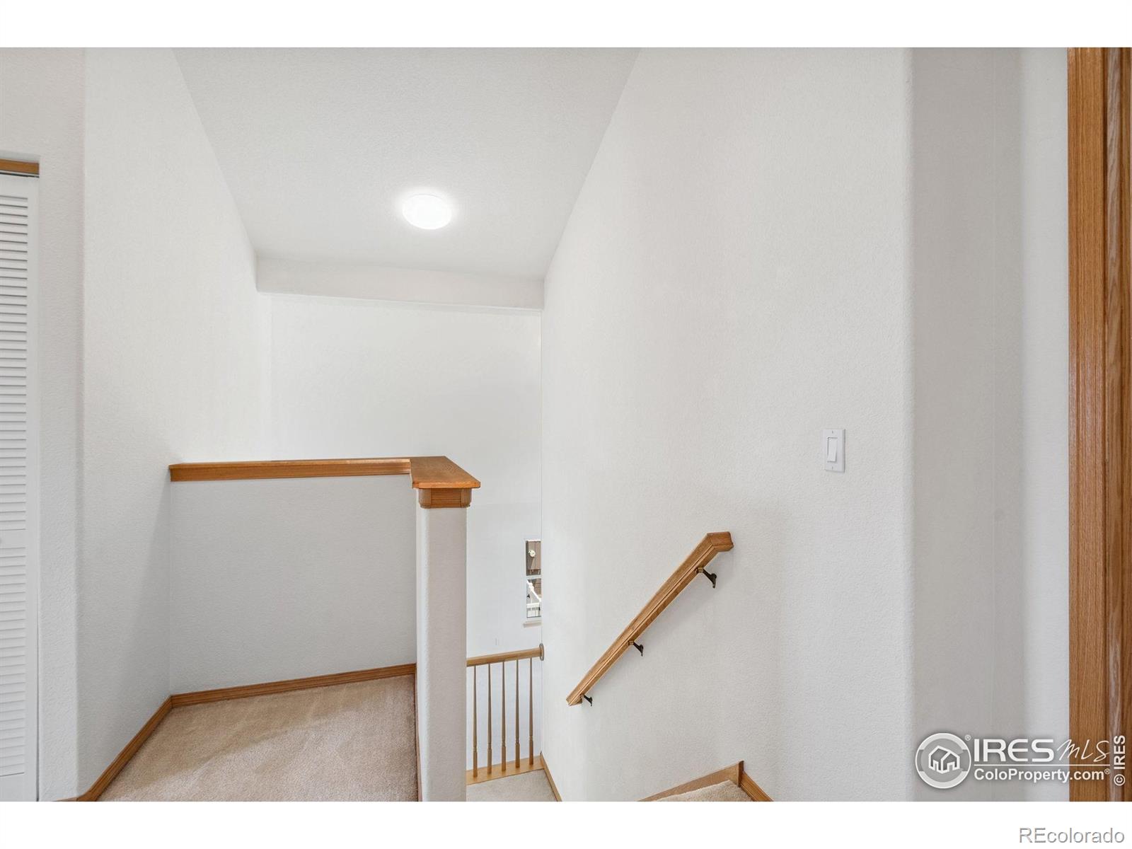 MLS Image #12 for 1426  reeves drive,fort collins, Colorado