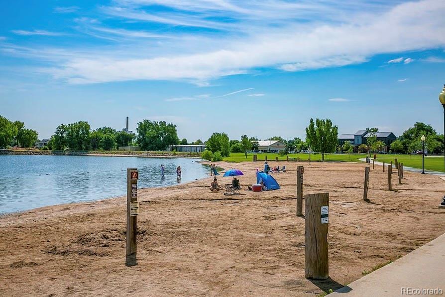 MLS Image #19 for 381  buffalo drive,windsor, Colorado
