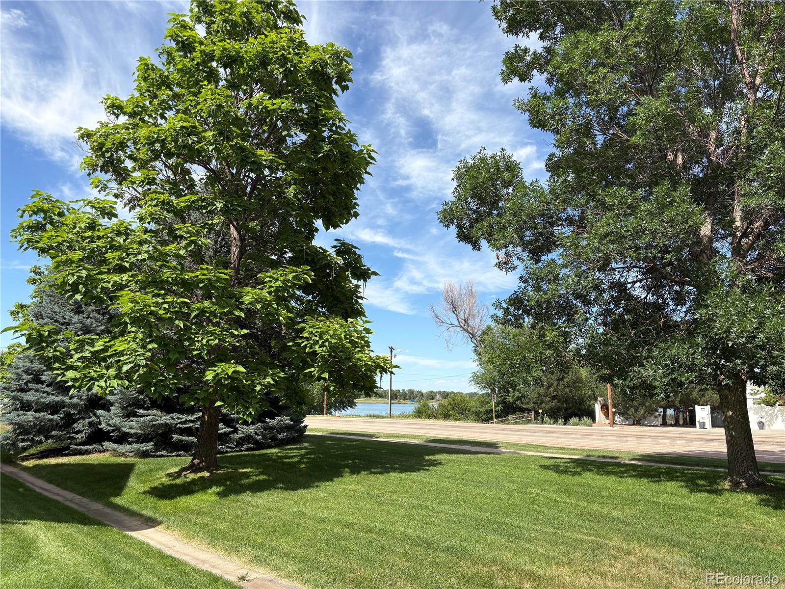 MLS Image #5 for 381  buffalo drive,windsor, Colorado