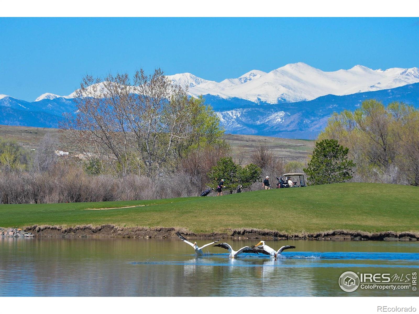 MLS Image #37 for 2000  bayfront drive,windsor, Colorado