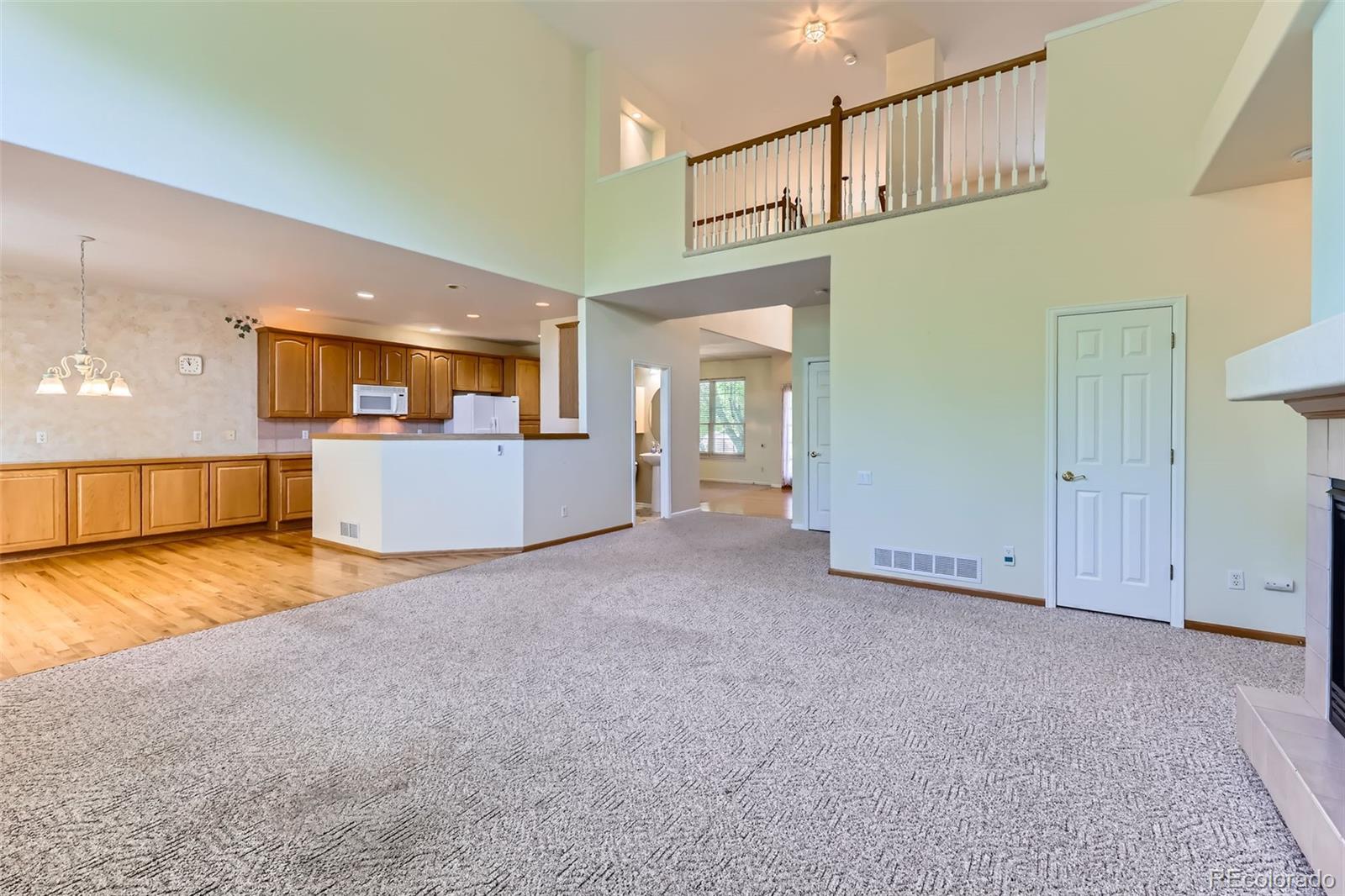 MLS Image #9 for 3818  mallard drive,highlands ranch, Colorado
