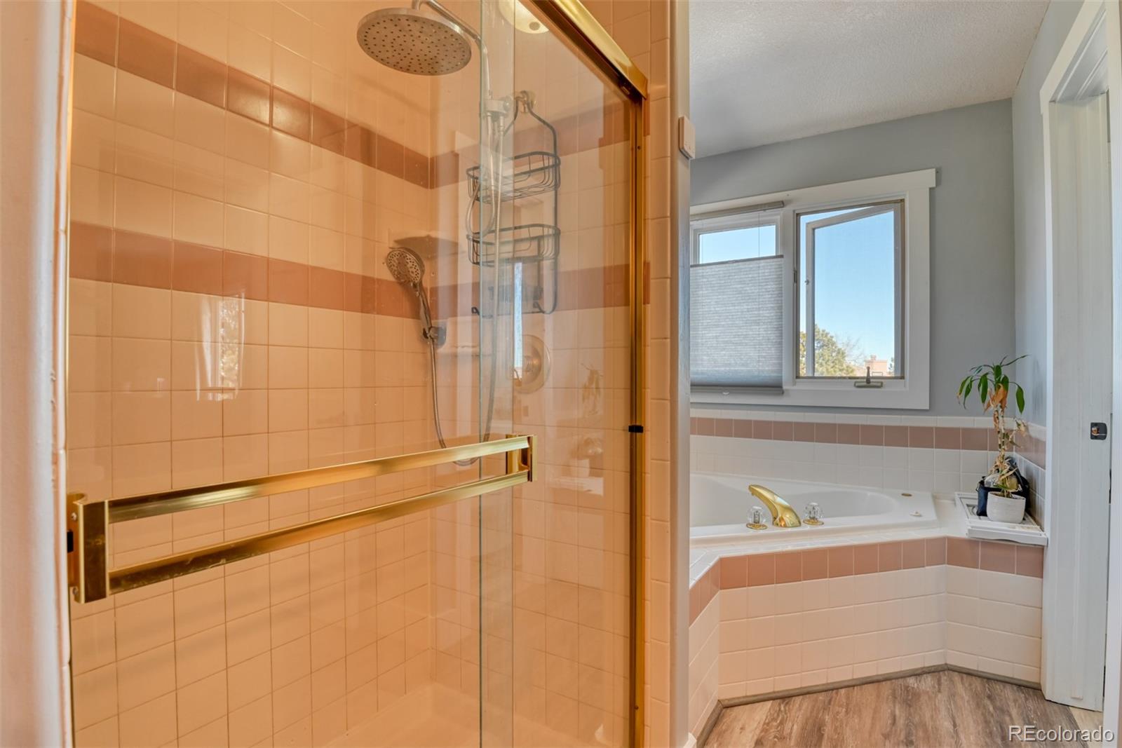 MLS Image #13 for 2770  rossmere street,colorado springs, Colorado