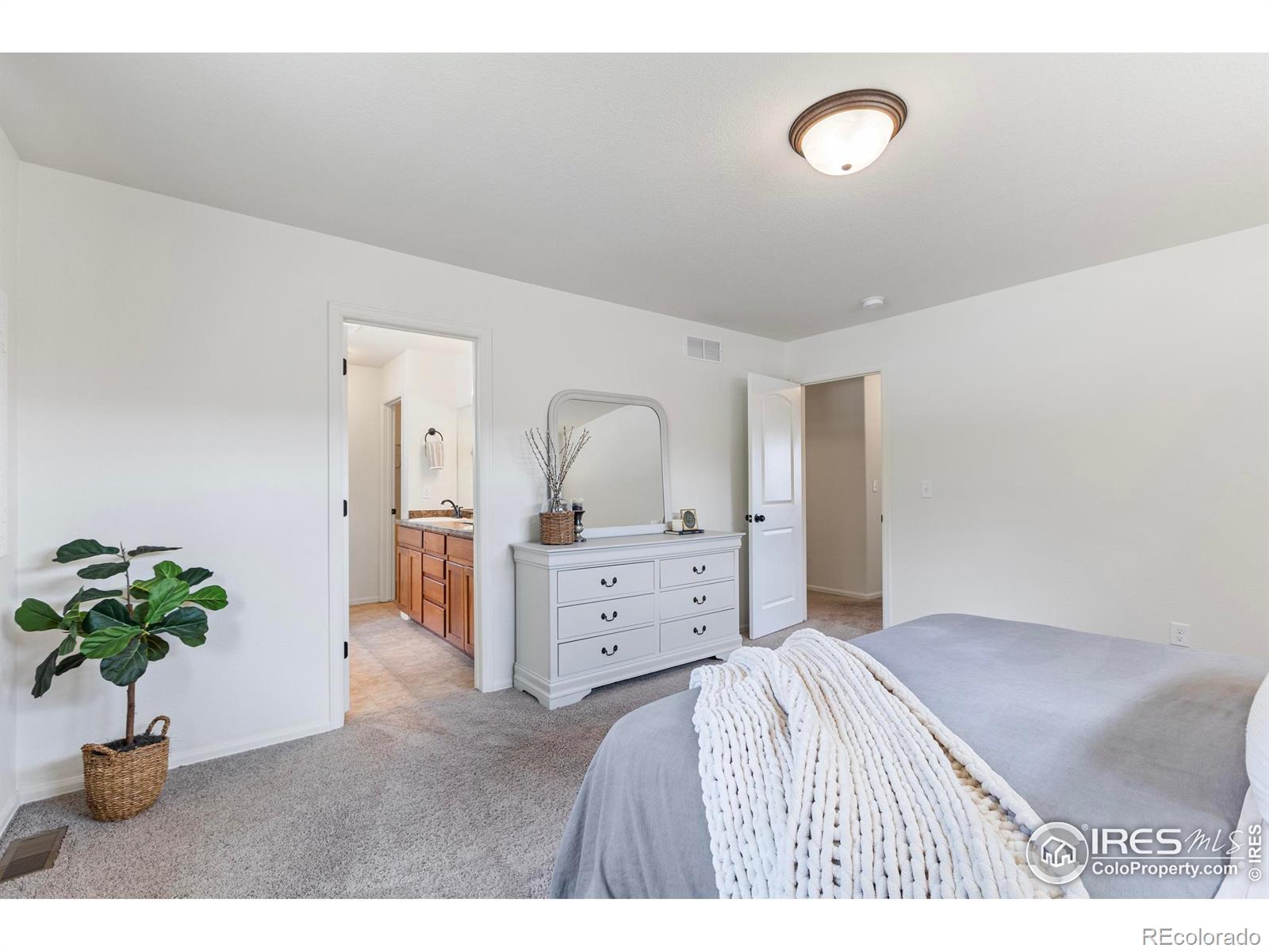 MLS Image #19 for 4511  mountain sky street,johnstown, Colorado