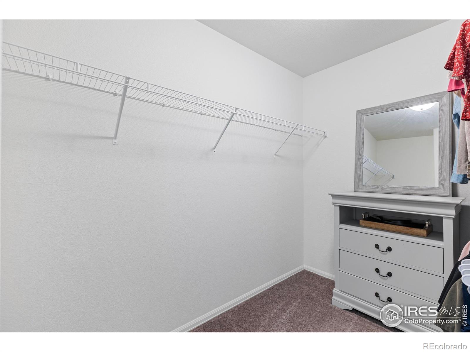 MLS Image #22 for 4511  mountain sky street,johnstown, Colorado