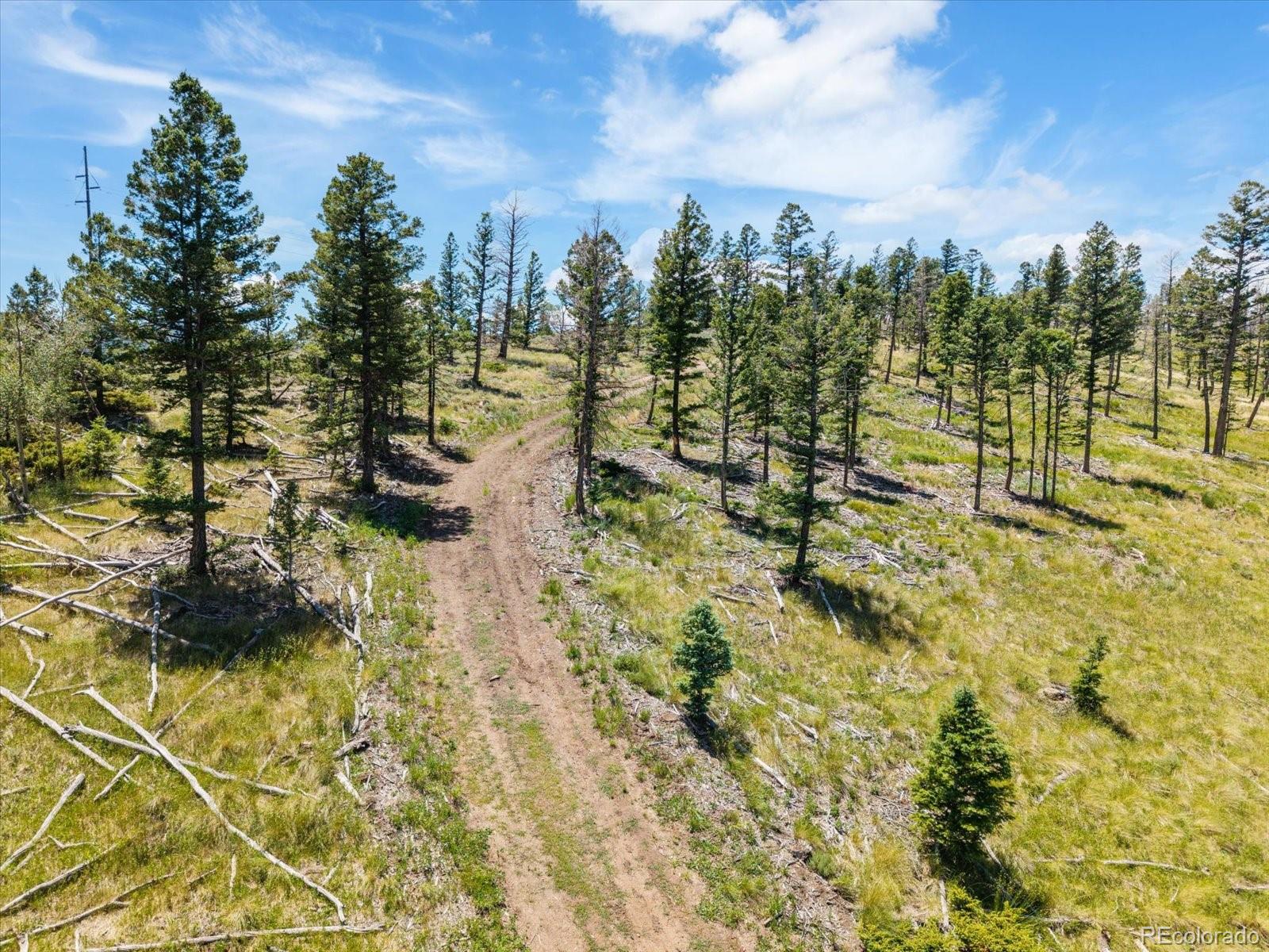 MLS Image #42 for 45835  highway 285 ,poncha springs, Colorado