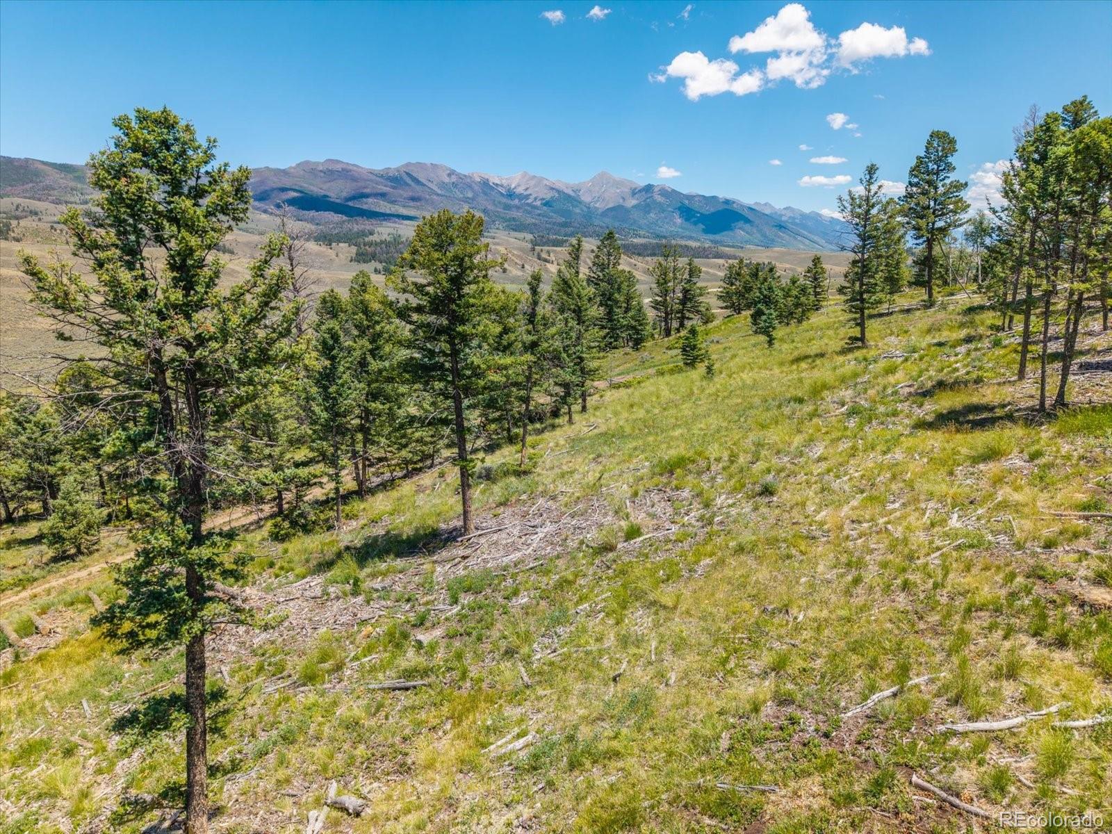 MLS Image #43 for 45835  highway 285 ,poncha springs, Colorado