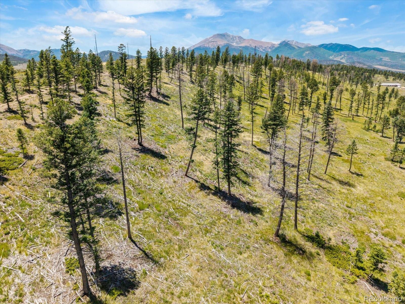 MLS Image #45 for 45835  highway 285 ,poncha springs, Colorado