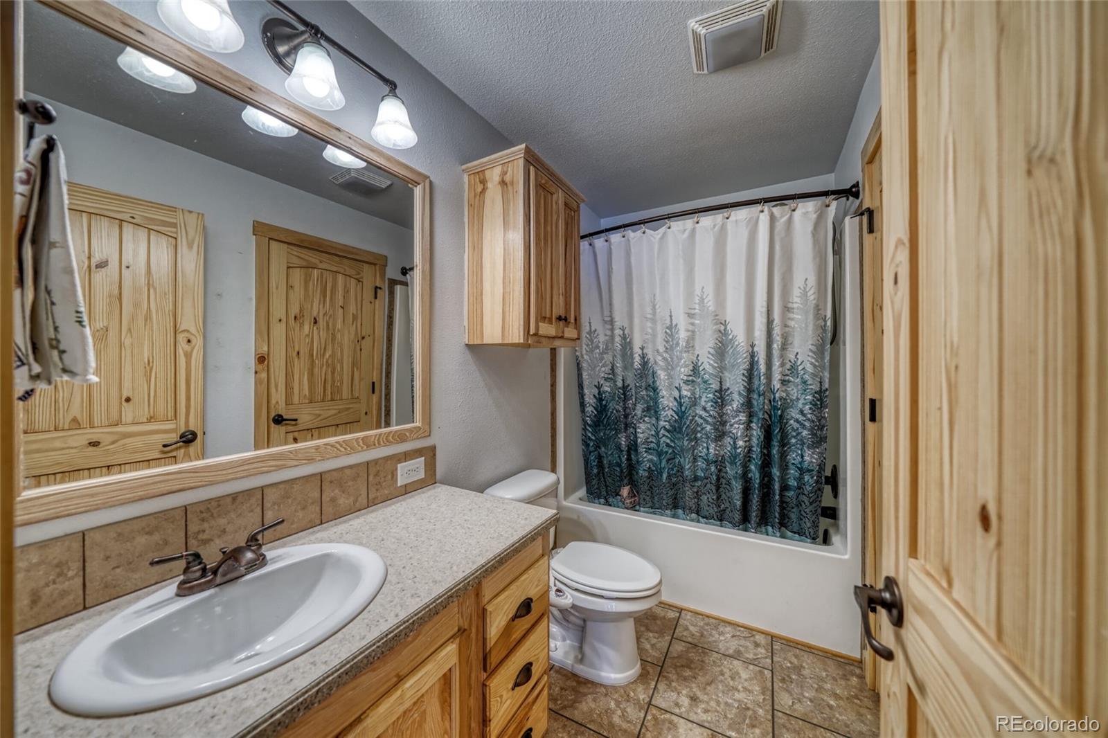 MLS Image #14 for 1075 s woodland avenue,woodland park, Colorado