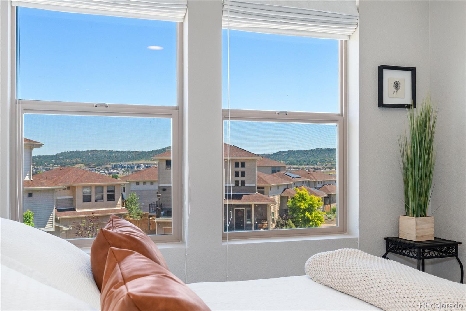 MLS Image #17 for 2999  merry rest way,castle rock, Colorado