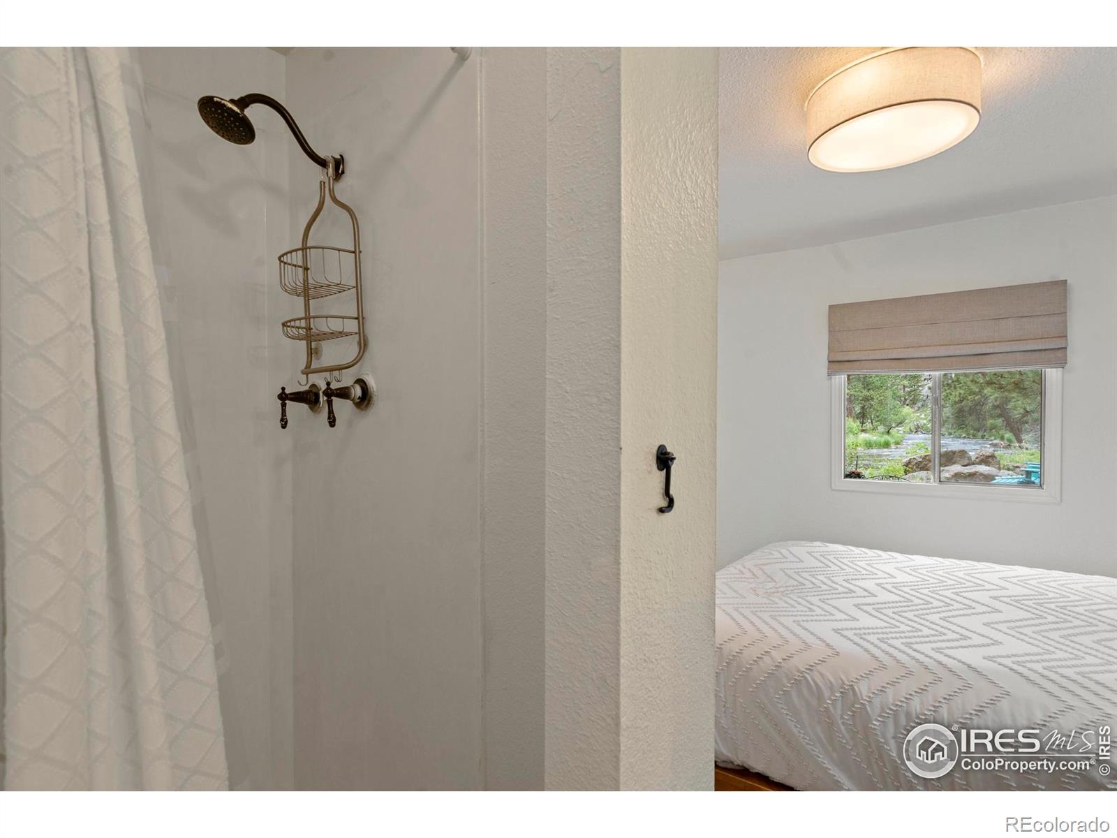 MLS Image #14 for 35  misty manor road,drake, Colorado
