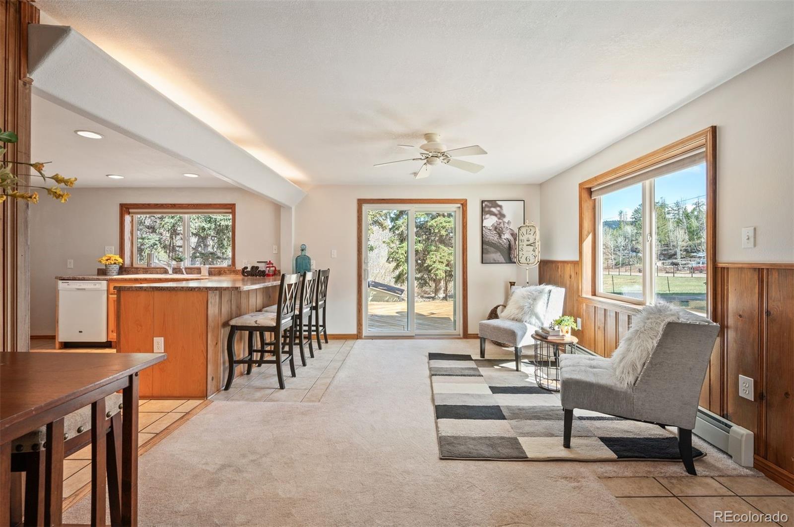 MLS Image #29 for 10039 & 10049 s turkey creek road,morrison, Colorado