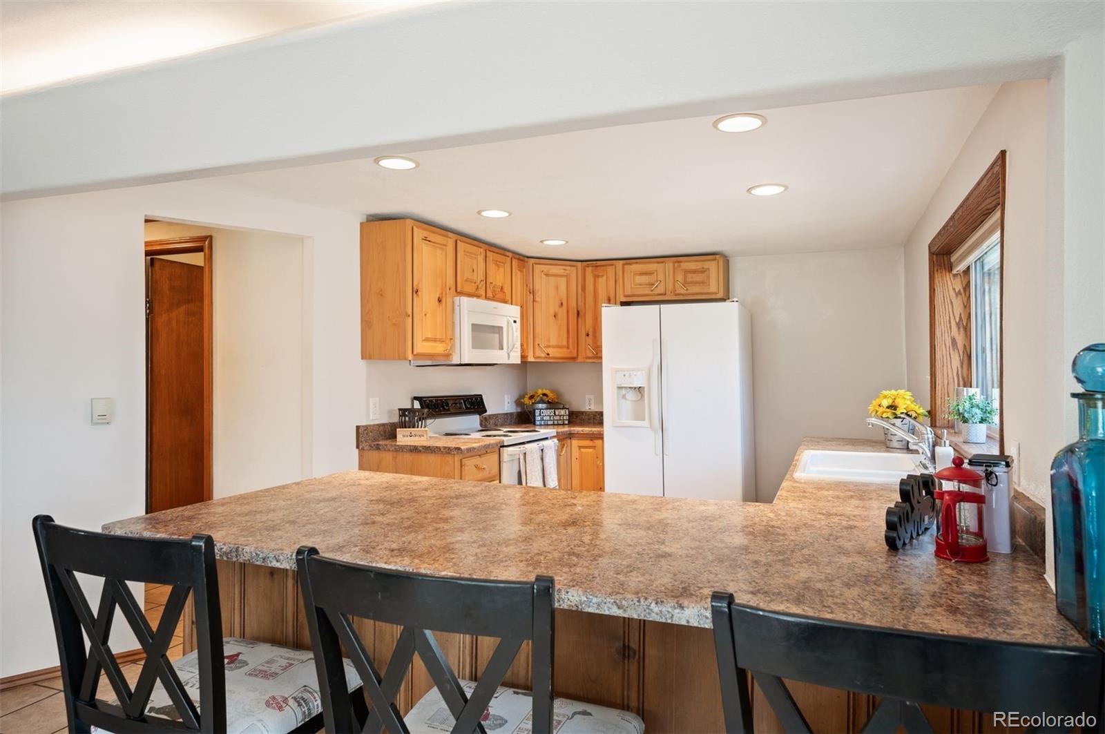 MLS Image #31 for 10039 & 10049 s turkey creek road,morrison, Colorado