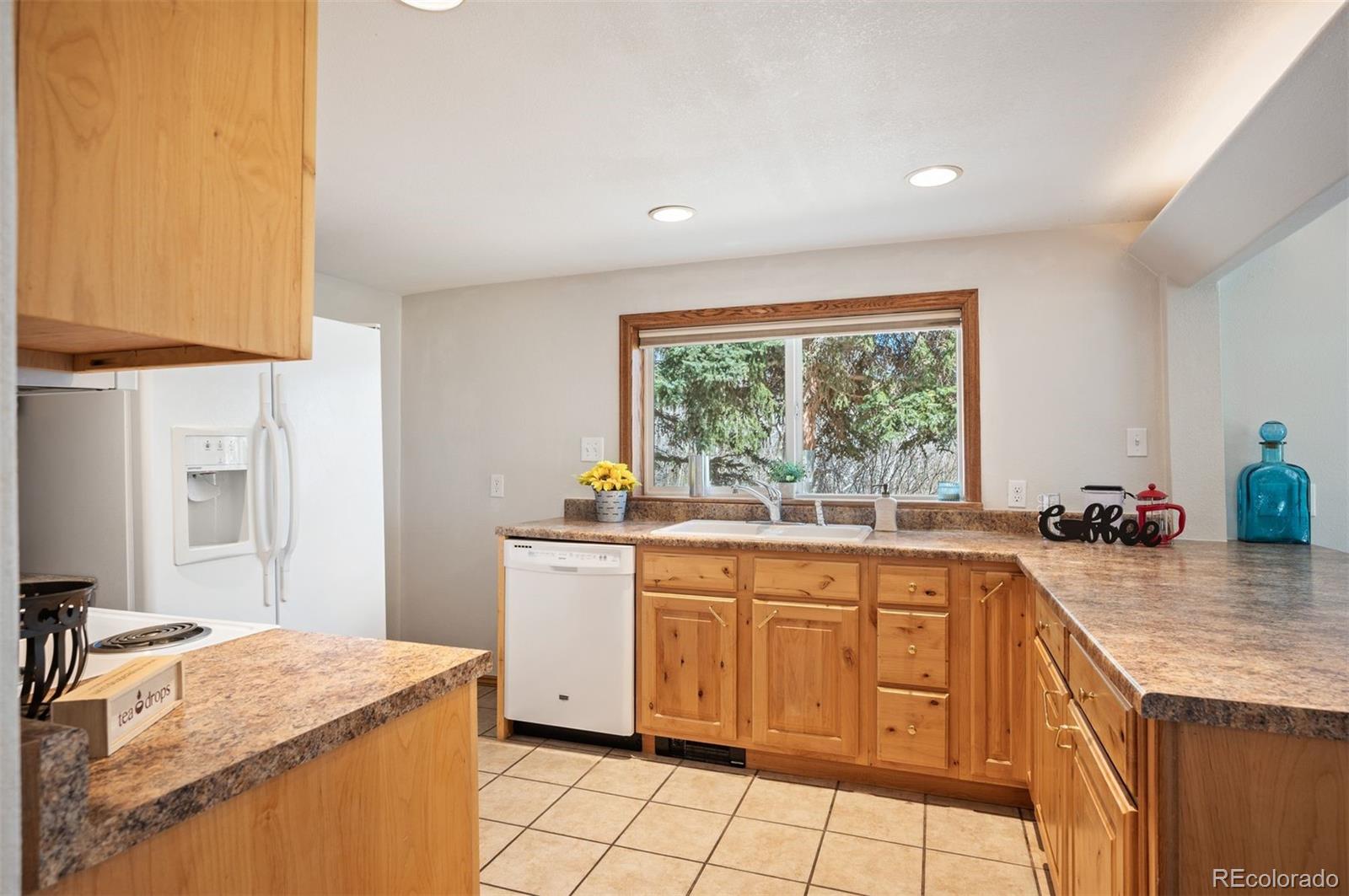 MLS Image #33 for 10039 & 10049 s turkey creek road,morrison, Colorado