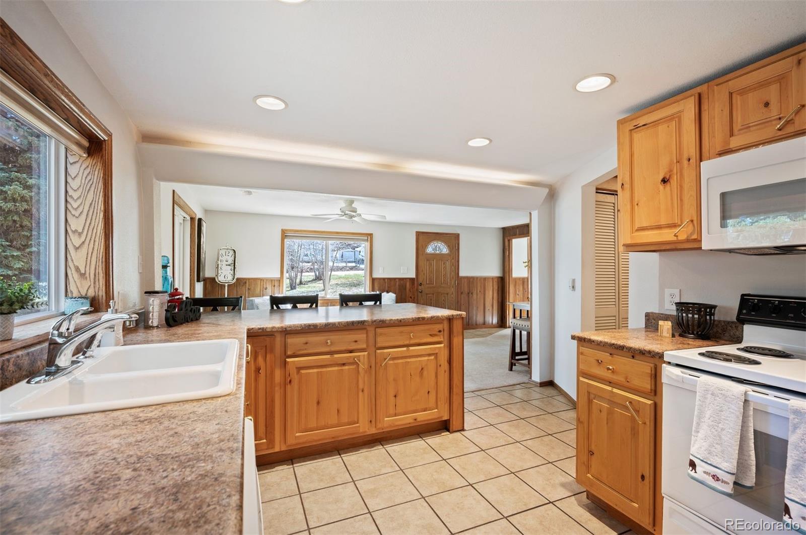 MLS Image #34 for 10039 & 10049 s turkey creek road,morrison, Colorado
