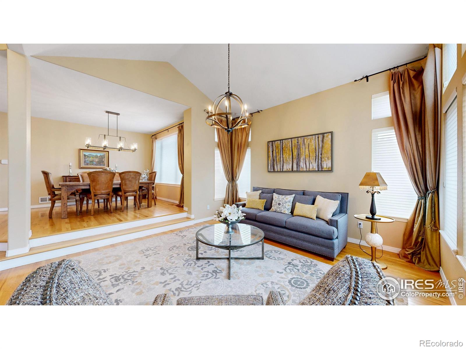 MLS Image #3 for 10119  quarry hill place,parker, Colorado