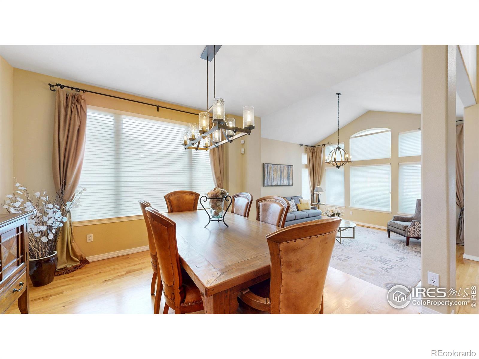 MLS Image #4 for 10119  quarry hill place,parker, Colorado