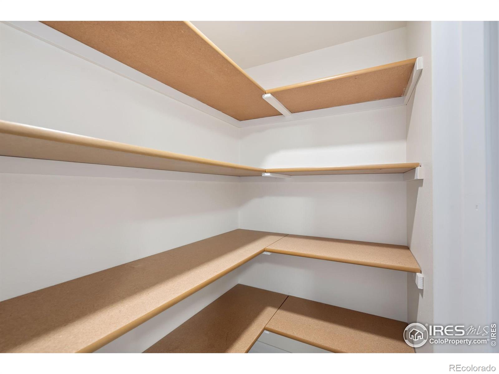 MLS Image #11 for 5725  derry drive,fort collins, Colorado