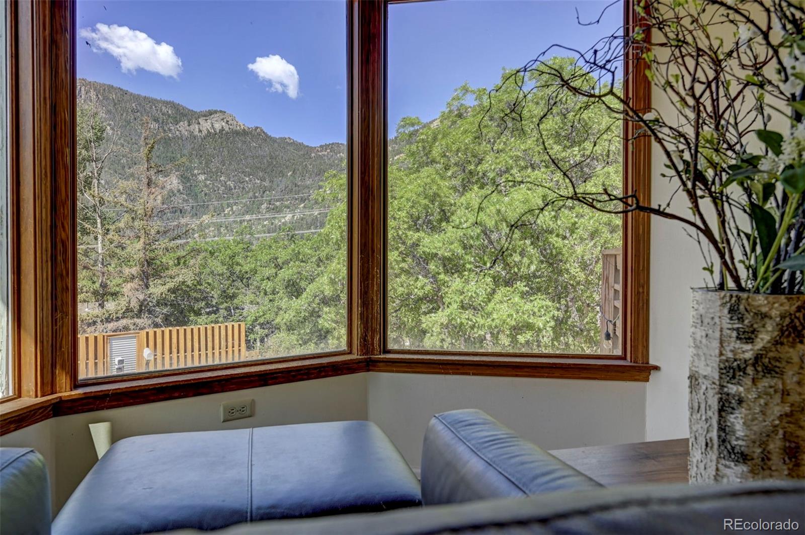 MLS Image #28 for 4665  fox road,cascade, Colorado