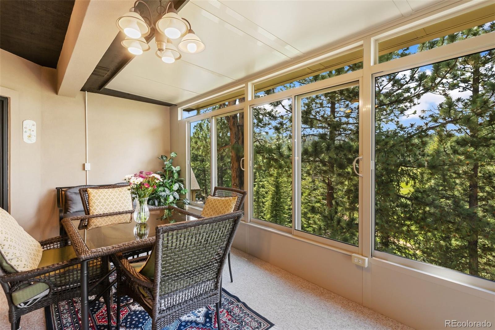 MLS Image #48 for 1530  masters drive,woodland park, Colorado