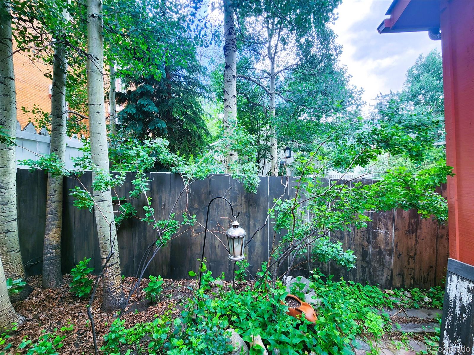 MLS Image #38 for 808  rose street,georgetown, Colorado