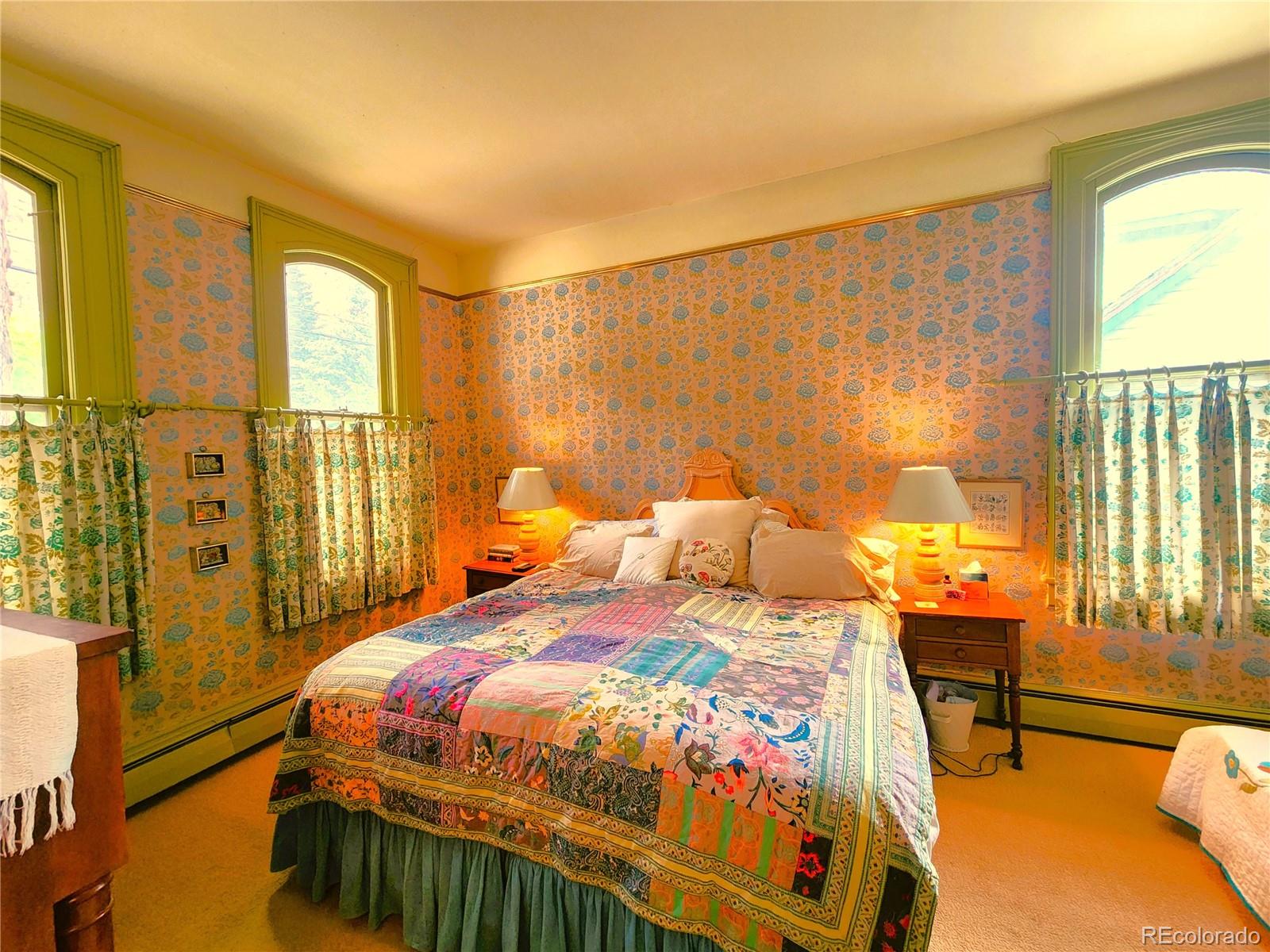 MLS Image #45 for 808  rose street,georgetown, Colorado