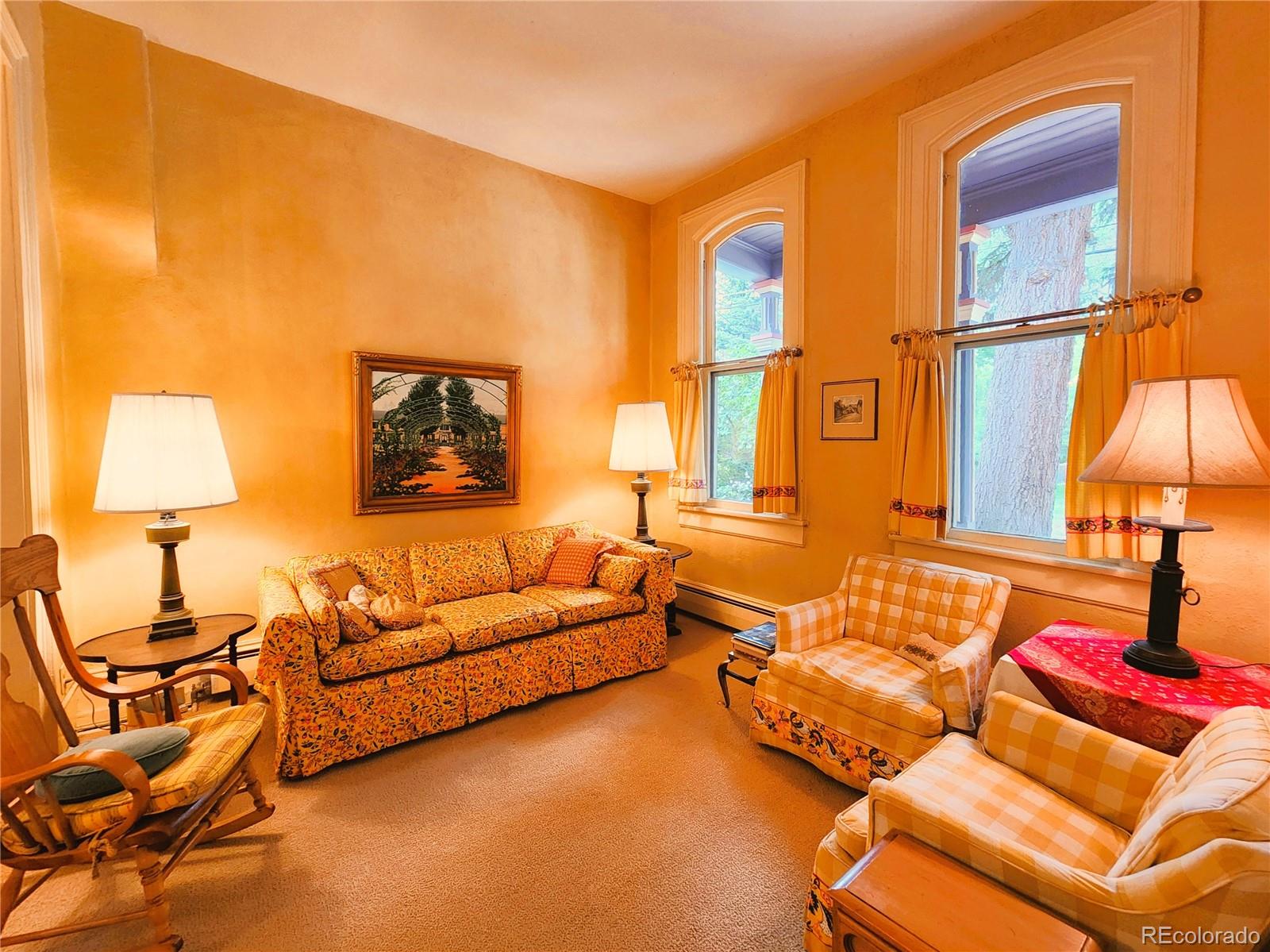 MLS Image #8 for 808  rose street,georgetown, Colorado