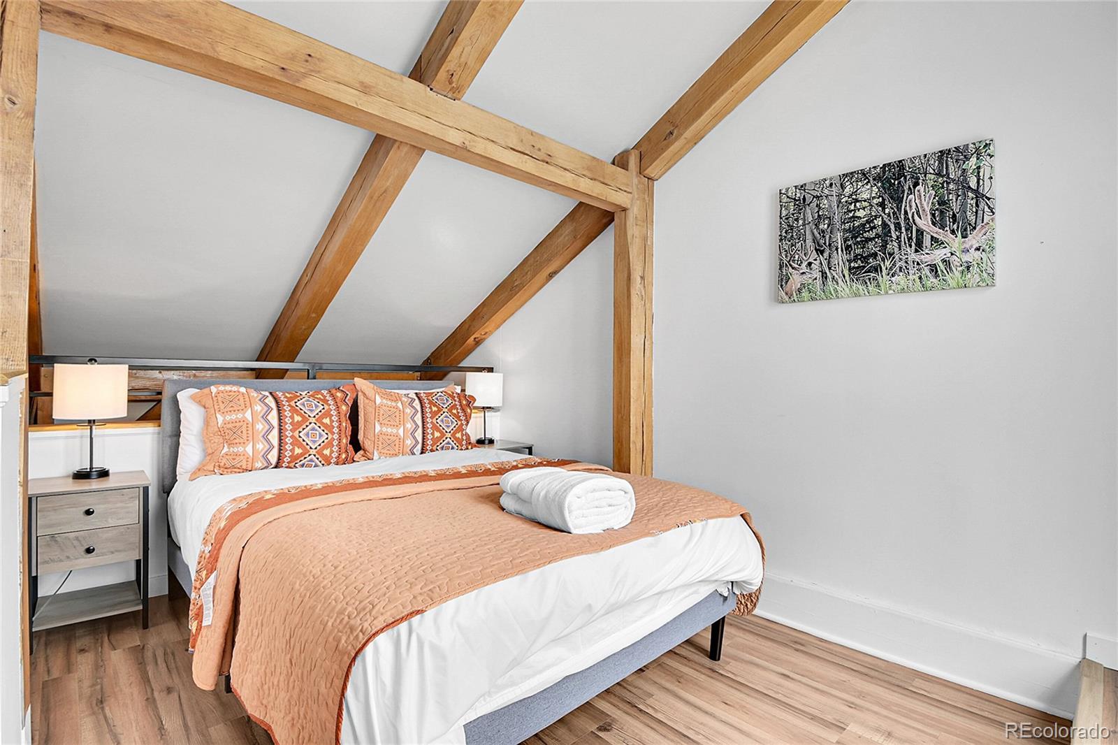 MLS Image #17 for 400  alpine way,idaho springs, Colorado