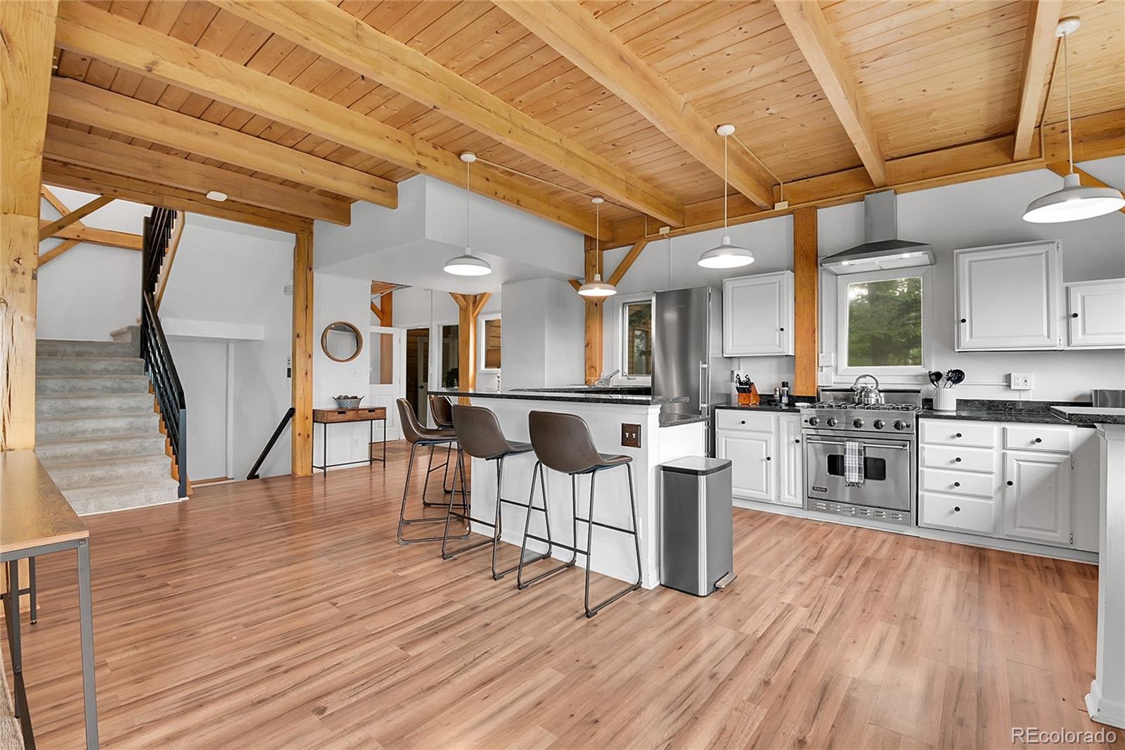 MLS Image #6 for 400  alpine way,idaho springs, Colorado
