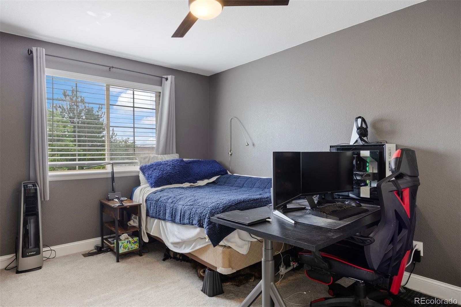 MLS Image #30 for 10060  royal eagle lane,highlands ranch, Colorado
