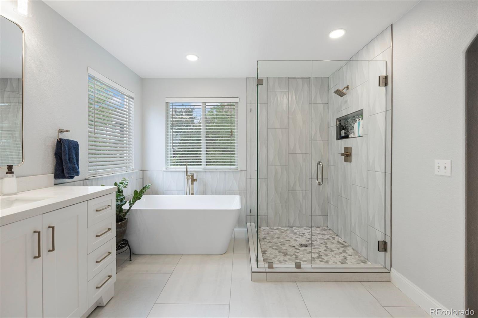 MLS Image #8 for 10060  royal eagle lane,highlands ranch, Colorado