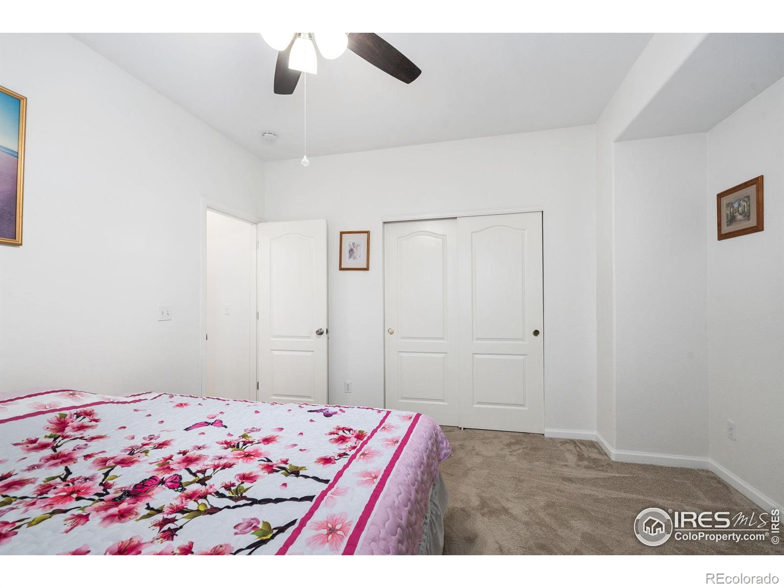 MLS Image #16 for 5131  mt st vrain avenue,frederick, Colorado