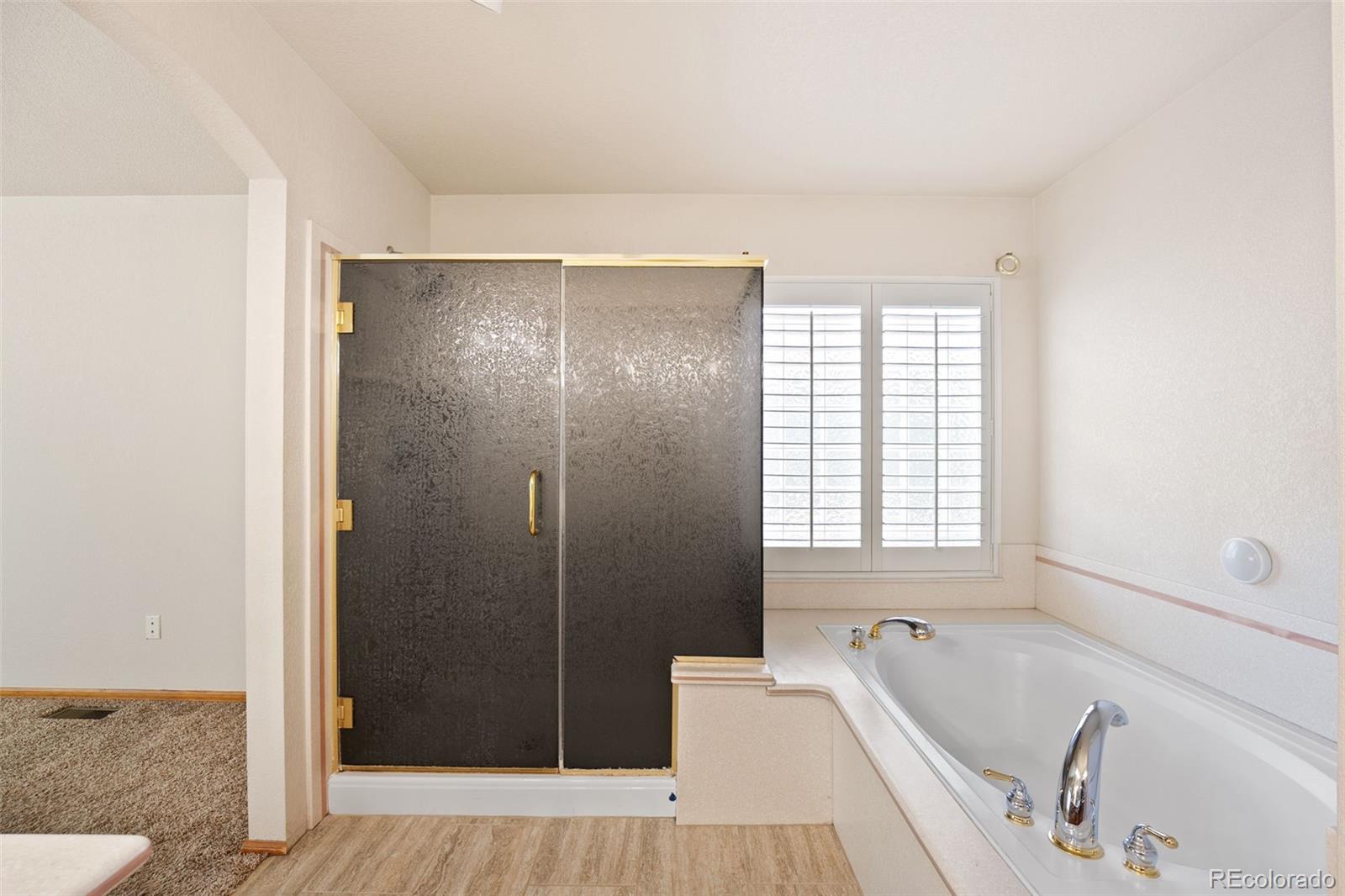 MLS Image #21 for 3595  starflower road,castle rock, Colorado