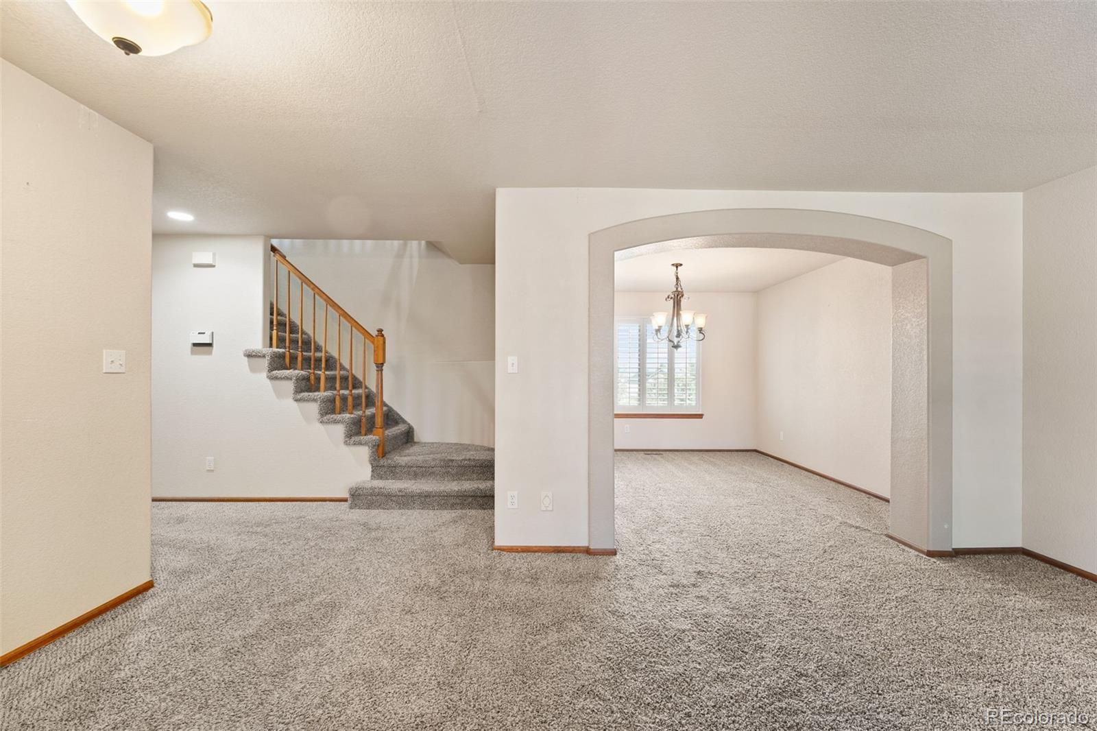 MLS Image #4 for 3595  starflower road,castle rock, Colorado